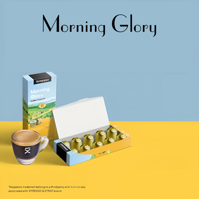 Morning